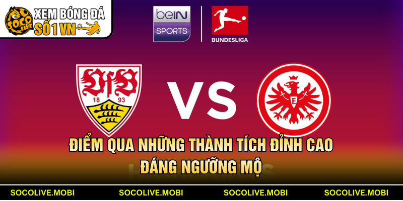 Điểm qua những thành tích đỉnh cao đáng ngưỡng mộ